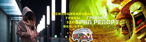 мяу мяу мука Абаза