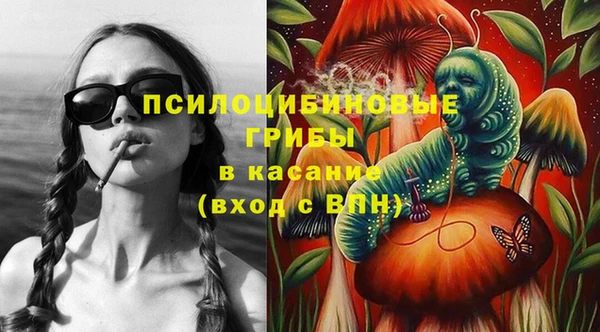 дживик Абинск