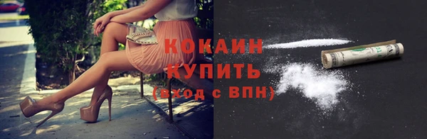 дживик Абинск