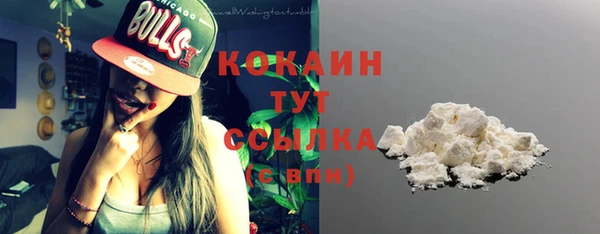 дживик Абинск