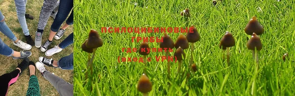 дживик Абинск