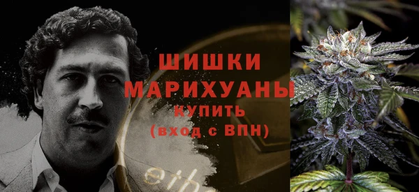 мяу мяу мука Абаза