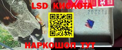 крисы Вязьма