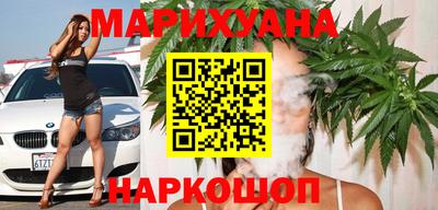 крисы Вязьма