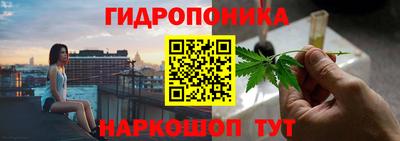 Альфа ПВП Вышний Волочёк