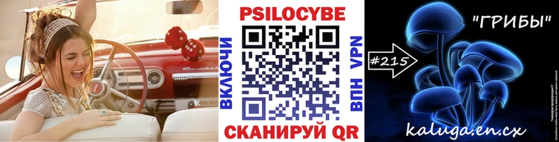 Галлюциногенные грибы Psilocybine cubensis  цена наркотик  кракен ONION  Алексеевка 