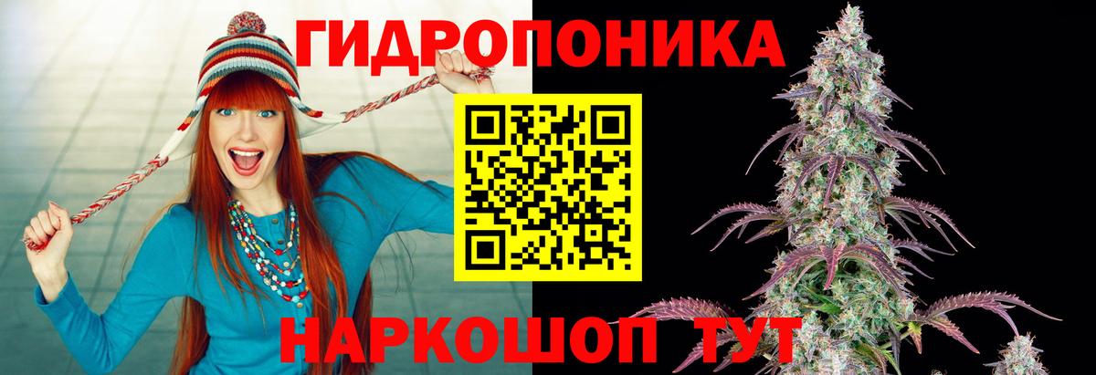 Канабис семена  Бошки марихуана сатива  Бошки марихуана ГИДРОПОН  Алексеевка  Вход с VPN  Канабис AK-47 